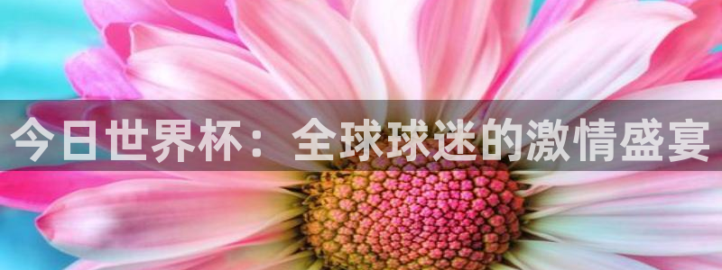 鼎天国际地址：今日世界杯：全球球迷的激情盛宴