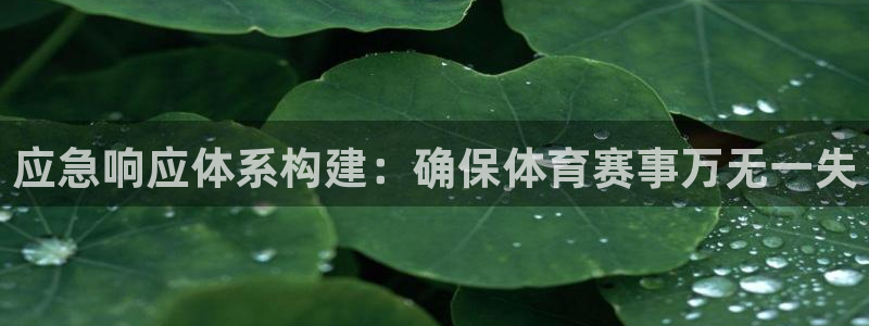 天津鼎天国际拍卖有限公司：应急响应体系构建：确保体育赛事万无一失