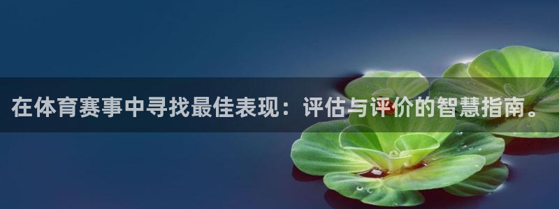 鼎天：在体育赛事中寻找最佳表现：评估与评价的智慧指南。