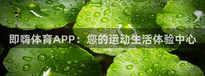 鼎天国际安卓版下载入口：即嗨体育APP：您的运动生活体验中心