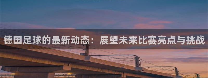 鼎天国际拍卖有限公司是不是正规的：德国足球的最新动态：展望未来比赛亮点与挑战