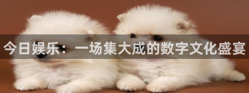 鼎天国际网站官网：今日娱乐：一场集大成的数字文化盛宴