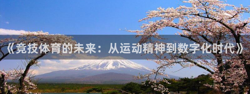 鼎天：《竞技体育的未来：从运动精神到数字化时代》