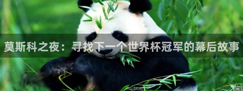 鼎天：莫斯科之夜：寻找下一个世界杯冠军的幕后故事