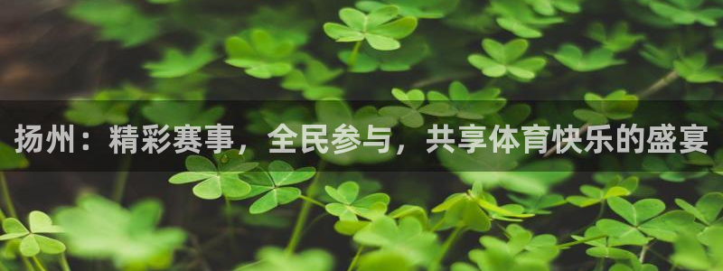 鼎天国际体育：扬州：精彩赛事，全民参与，共享体育快乐的盛宴