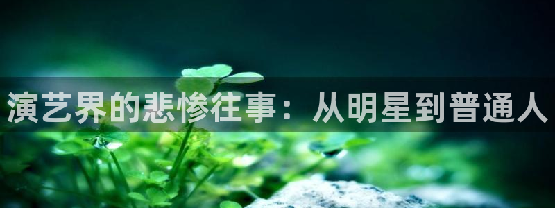 鼎天国际是哪个平台旗下的：演艺界的悲惨往事：从明星到普通人