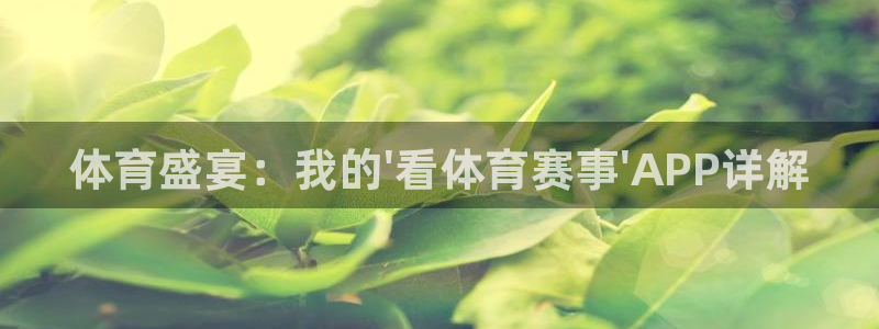 鼎天国际地址：体育盛宴：我的\'看体育赛事\'APP详解
