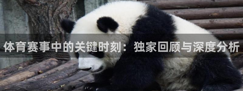 鼎天国际是哪个平台旗下的：体育赛事中的关键时刻：独家回顾与深度分析