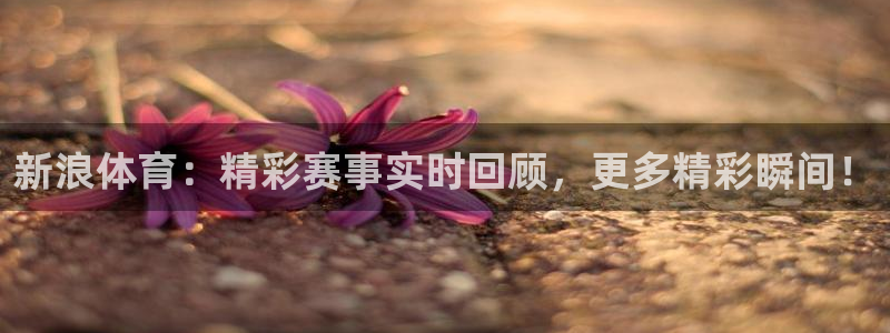 鼎天国际地址：新浪体育：精彩赛事实时回顾，更多精彩瞬间！