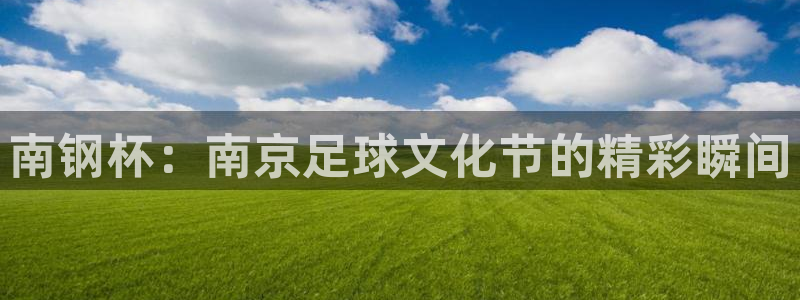 鼎天国际君临国际：南钢杯：南京足球文化节的精彩瞬间
