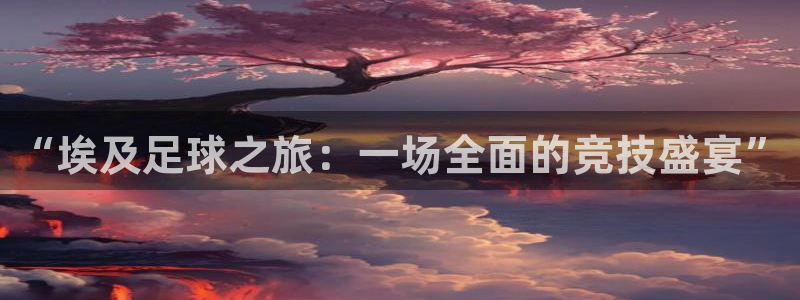鼎天：“埃及足球之旅：一场全面的竞技盛宴”