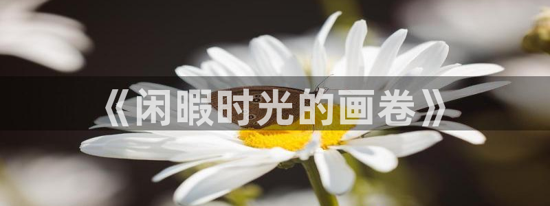 鼎天国际网站官网：《闲暇时光的画卷》
