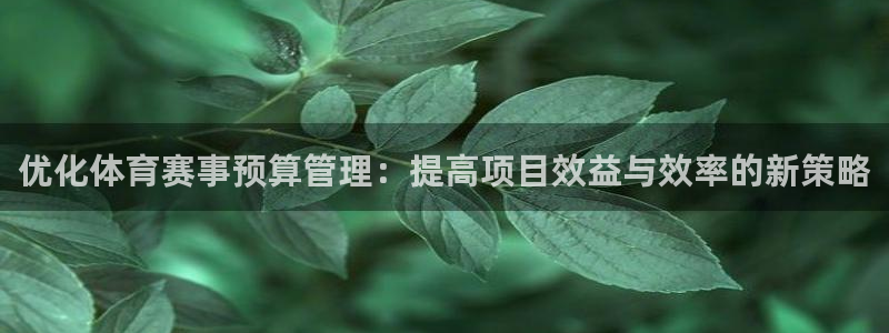 鼎天国际网站官网入口：优化体育赛事预算管理：提高项目效益与效率的新策略