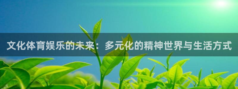 pg 鼎天国际 pg鼎天国际：文化体育娱乐的未来：多元化的精神世界与生活方式