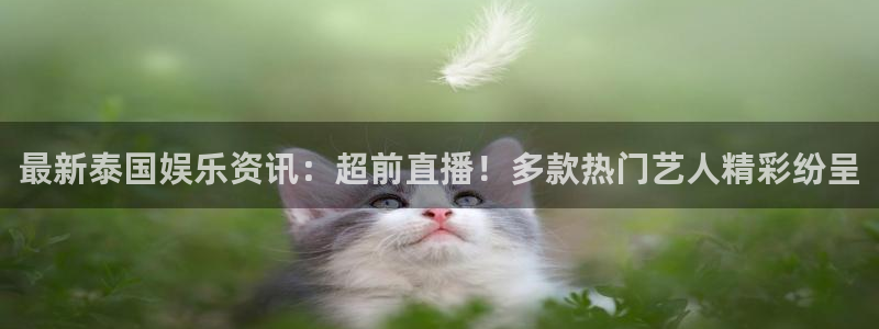 鼎天国际网页入口：最新泰国娱乐资讯：超前直播！多款热门艺人精彩纷呈