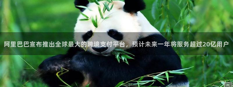 鼎天国际服com：阿里巴巴宣布推出全球最大的跨境支付平台，预计未来一年将服务超过20亿用户