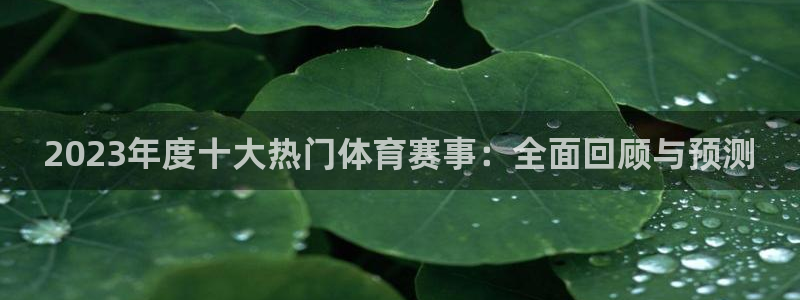 鼎天国际网页版入口官网：2023年度十大热门体育赛事：全面回顾与预测