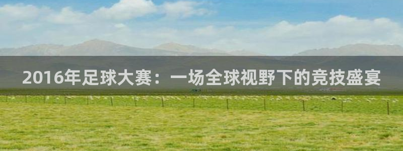 鼎天国际官网入口在哪：2016年足球大赛：一场全球视野下的竞技盛宴
