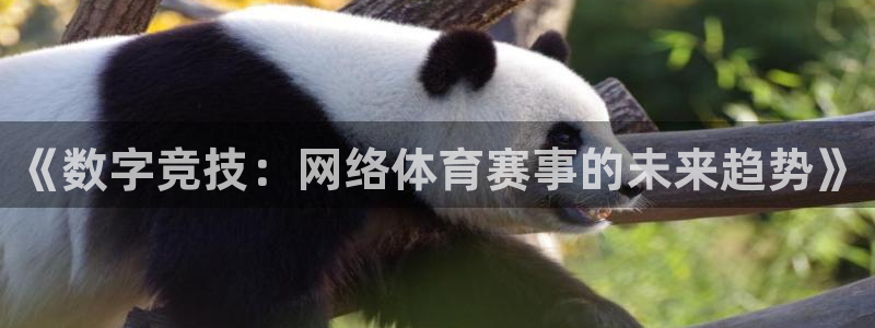 鼎天国际网页入口：《数字竞技：网络体育赛事的未来趋势》