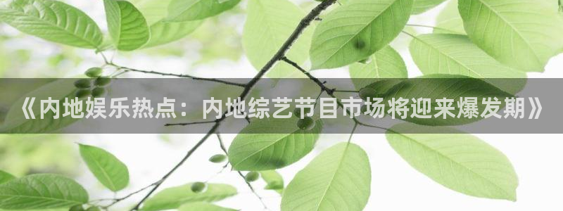 pg 鼎天国际 pg鼎天国际：《内地娱乐热点：内地综艺节目市场将迎来爆发期》