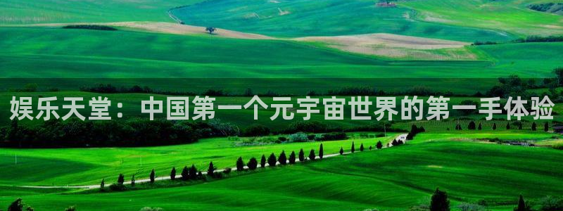 鼎天国际官网网址：娱乐天堂：中国第一个元宇宙世界的第一手体验