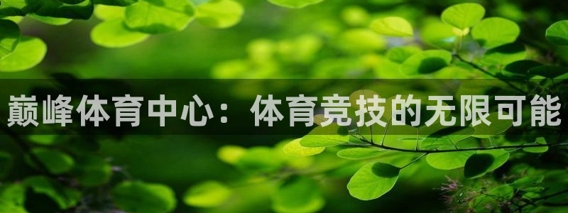 鼎天国际电子怎么下载app：巅峰体育中心：体育竞技的无限可能