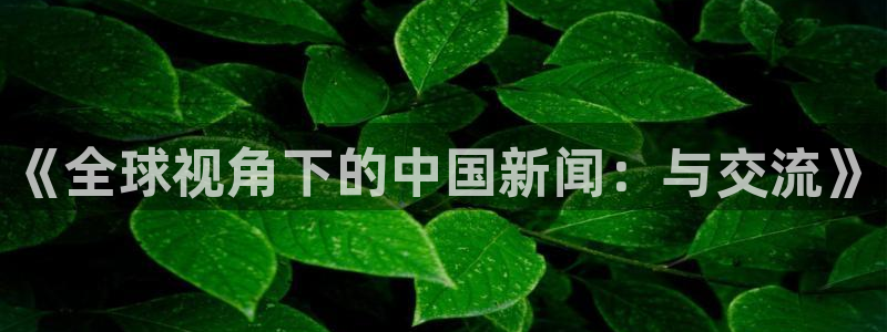 鼎天国际官网入口在哪：《全球视角下的中国新闻：与交流》