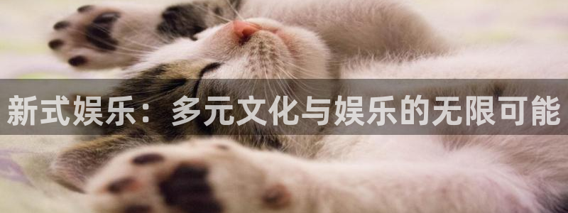 鼎天国际网站官网入口：新式娱乐：多元文化与娱乐的无限可能