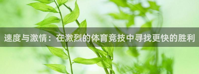 鼎天国际入口：速度与激情：在激烈的体育竞技中寻找更快的胜利