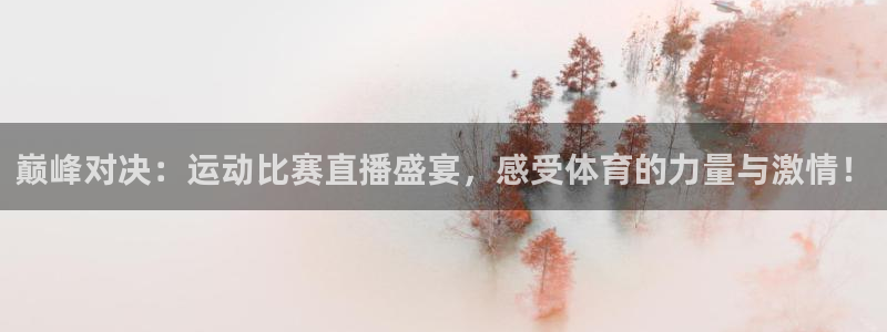 鼎天国际君临国际：巅峰对决：运动比赛直播盛宴，感受体育的力量与激情！