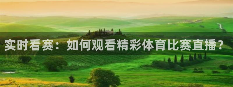 鼎天国际是哪个平台旗下的：实时看赛：如何观看精彩体育比赛直播？