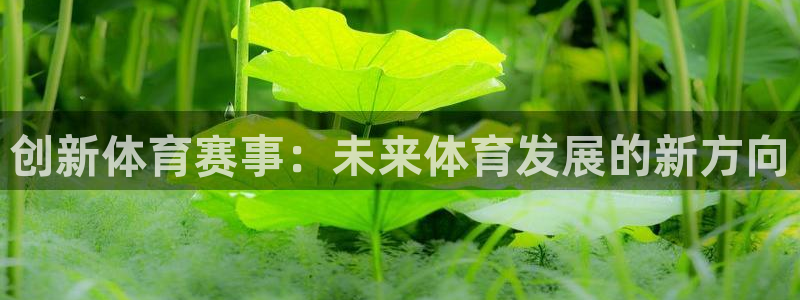 鼎天国际注册：创新体育赛事：未来体育发展的新方向
