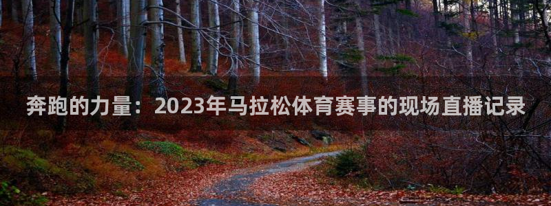 鼎天国际拍卖有限公司是不是正规的：奔跑的力量：2023年马拉松体育赛事的现场直播记录