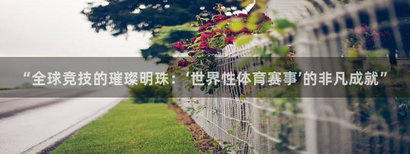鼎天国际网站官网：“全球竞技的璀璨明珠：‘世界性体育赛事’的非凡成就”