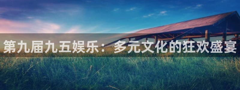 鼎天：第九届九五娱乐：多元文化的狂欢盛宴