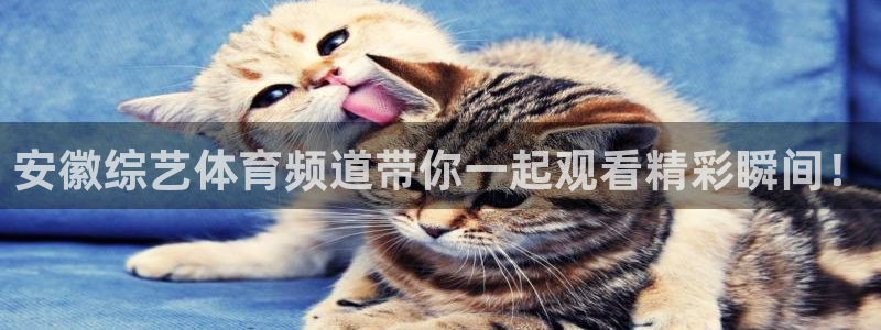 鼎天国际网站官网：安徽综艺体育频道带你一起观看精彩瞬间！