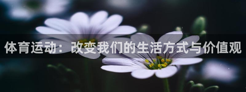 鼎天国际体育：体育运动：改变我们的生活方式与价值观