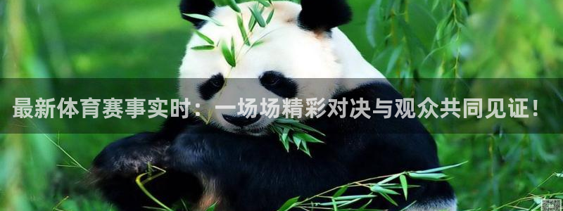 鼎天国际服com：最新体育赛事实时：一场场精彩对决与观众共同见证！