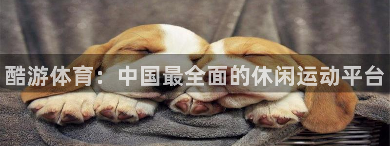 天津鼎天国际拍卖有限公司：酷游体育：中国最全面的休闲运动平台