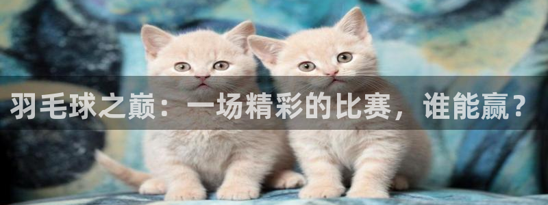 鼎天国际体育：羽毛球之巅：一场精彩的比赛，谁能赢？
