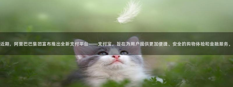 鼎天国际下载：近期，阿里巴巴集团宣布推出全新支付平台——支付宝，旨在为用户提供更加便捷、安全的购物体验和金融服务。